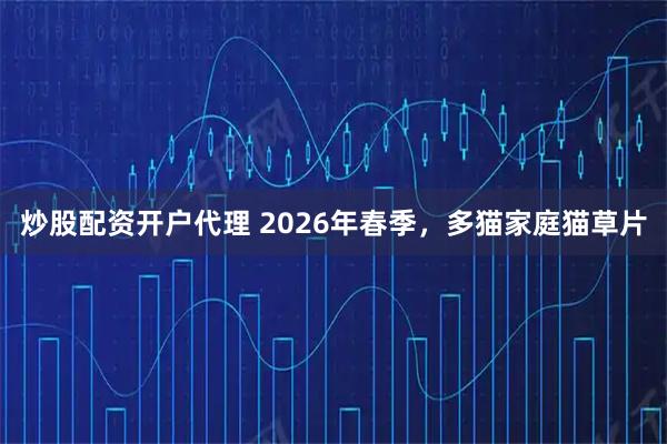 炒股配资开户代理 2026年春季，多猫家庭猫草片